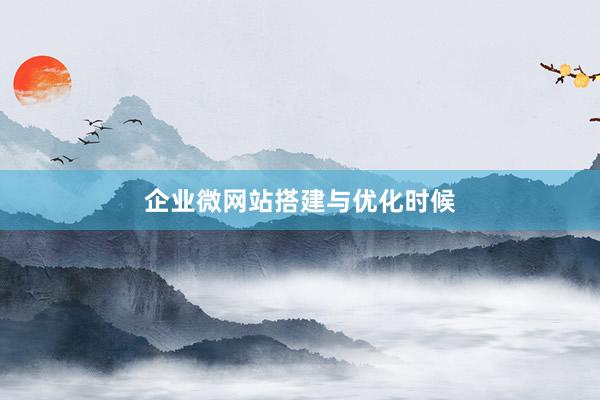 企业微网站搭建与优化时候