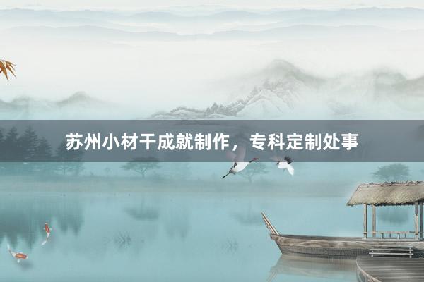 苏州小材干成就制作，专科定制处事